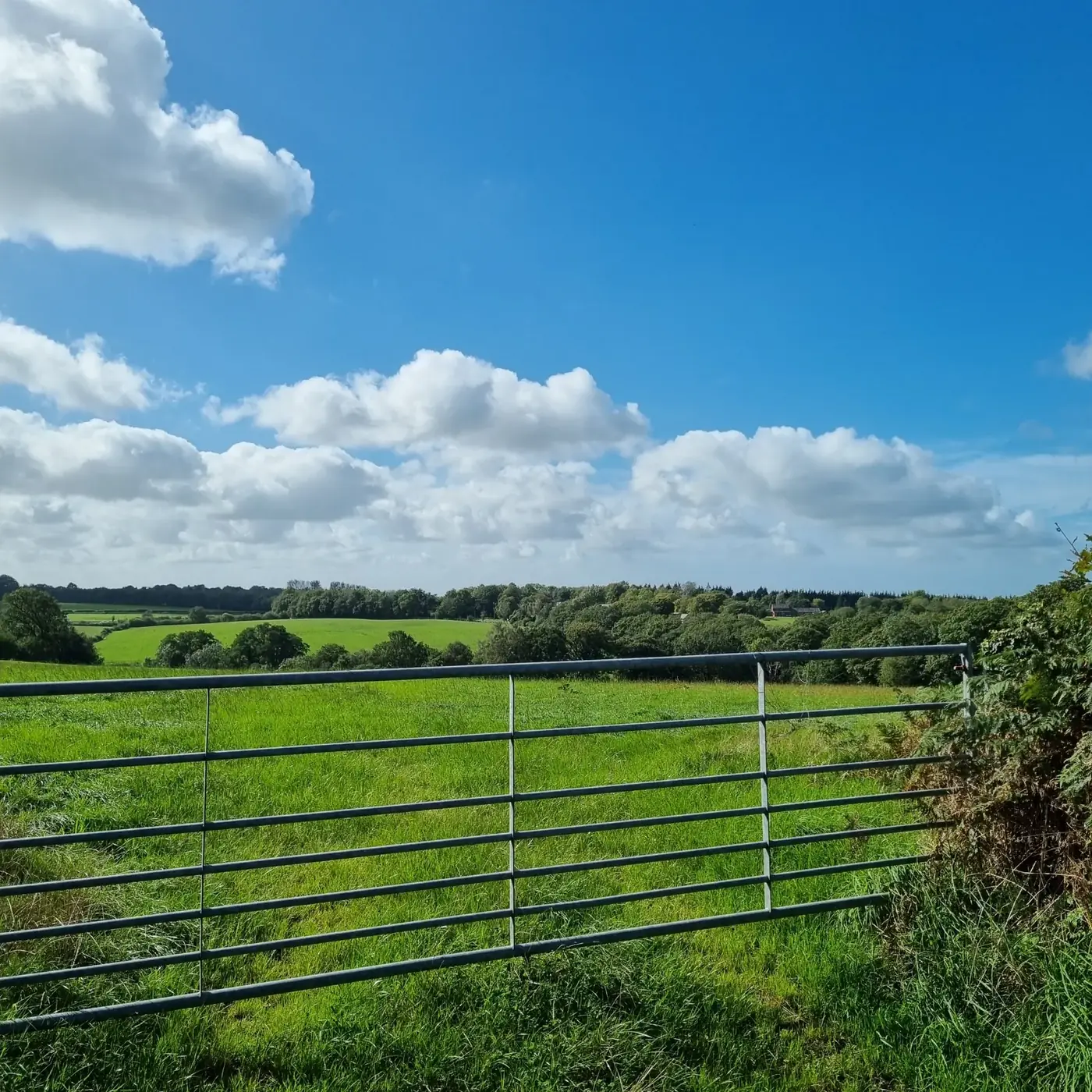 A field gate and open countryside under blue sky