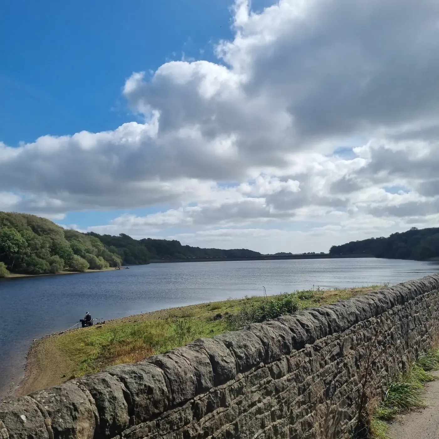 A reservoir near Rivington with a stone wall and woodland